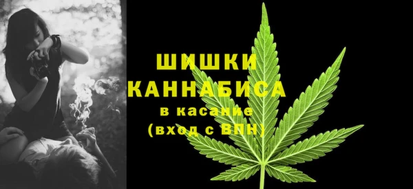 сатива Абаза