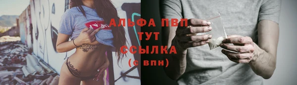 сатива Абаза