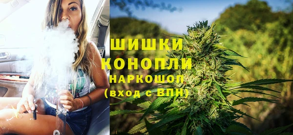 сатива Абаза
